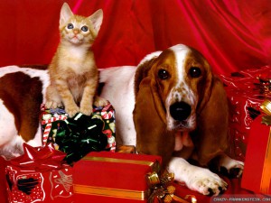 kitty-christmas-dog-wallpapers-1024x768