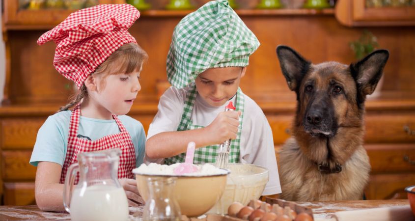 Ünnepi finomságok a kutyák tányérjában is!